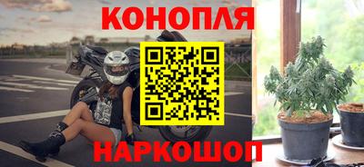 наркотики Гай