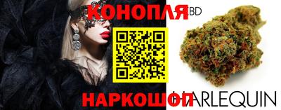 наркотики Гай