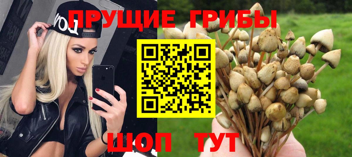 Сальск  Псилоцибиновые грибы мицелий  Галлюциногенные грибы мухоморы  Вход с VPN 